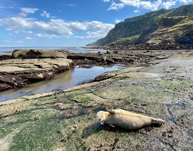 3 Bed In Scarborough Oc-sa004 Holiday home